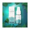 menthe boreale petit nuage 10ml